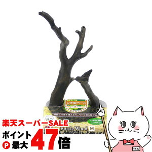 yő400~OFFN[|zi {gEbh MyhappiestzySBTz(6054464)