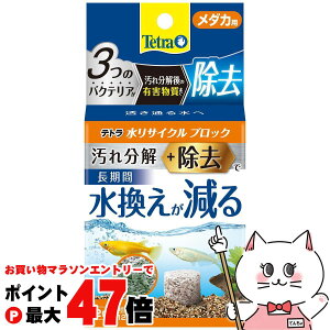 y}\ő47{zeg TCNubN _Jp 2yhappiestzySBTz(6054650)