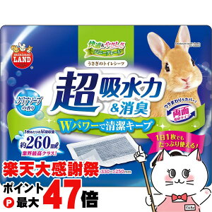 �y�y�V�労�ӍՍő�47�{�z�������̃g�C���V�[�c 40���yhappiest�z�ySBT�z(6054773)