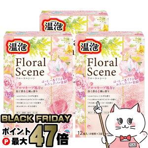 yubNtCf[zy3ZbgzA[X A t[V[ 12yONPO ܁zyz֑z (6059015-set3)