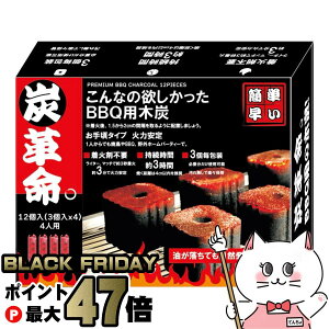 DSCWp YvB BBQpؒY 荠^Cv12yؒY  o[xL[ ȒP y ΍ܕsv Η͈ h Lv AEghAzy\E͘FEΔEցEp