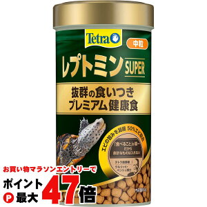 yő400~OFFN[|zeg vg~X[p[  80g yXyNguYWpzyhappiestzySBTz(6060299)