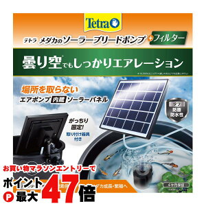 y}\ő47{zeg _J̃\[[u[h|v+tB^[ yXyNguYWpzyhappiestzySBTz(6060345)