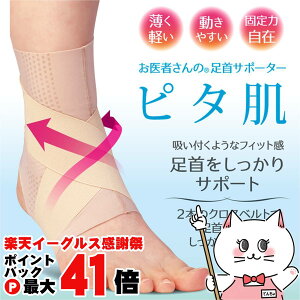 y}\ő47{zAt@bNX ҂̑T|[^[ s^ LTCY x[Wy{ Ep zy[֑z(6061500)