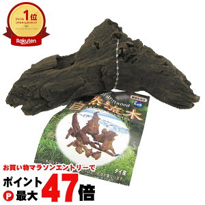 yő400~OFFN[|z}J R ~jyhappiestzySBTz(6031185)