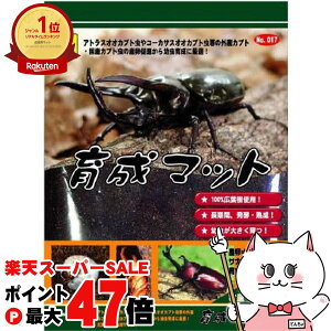 yő400~OFFN[|zOW 琬}bg 10Lyhappiestzyz֑ziƂ̓s (6035338)