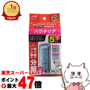 yő400~OFFN[|zWFbNX oNeAX}bg 5yhappiestzySBTz(6050372)