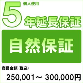 【クーポン配布中】【対象商品のみ】個人5年延長保証(自然故障)商品金額 税込250,001円～300,000円用【あす楽対応_関東】即納 (99990003-30)