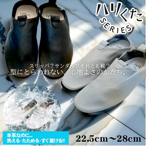 yN[|10OFFzn bN ubN O[ HK-2003 (22.5cm`28cm)yOREG-LABzy{ bNV[Y vC Y fB[X _炩 EHbVuU[ 􂦂  [