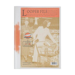 yeʁzyA4 p100 2z [p[t@C (F-3006)yqguz y񂹁zySBTz