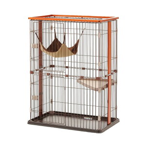 {rAR EbhT[N Lbg 2i^Cvyhappiestzy160TCYzyz֑ziƂ̓s(6041349)