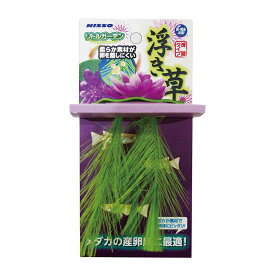 楽天市場 浮き草 花 水槽 アクアリウム内装 熱帯魚 アクアリウム ペット ペットグッズの通販 楽天市場 浮き草 花 水槽 アクアリウム内装 熱帯魚 アクアリウム ペット ペットグッズの通販