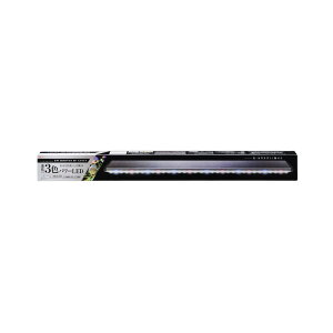 WFbNX NALED POWER3 900yhappiestzy120TCYzyz֑ziƂ̓s (6031562)