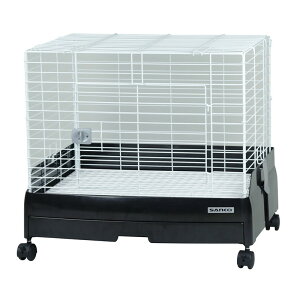 OW C[W[z[ G{ 60-BK(XmRdl)yhappiestzy160TCYzyz֑ziƂ̓s (6035666)