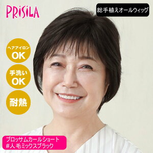 yoȂEBbOzvV BEAUTE AI[EBbO ubTJ[V[g BA-100-ZBK #lу~bNXubNytEBbO ×pEBbO lсϔMt@Co[~bNX wA