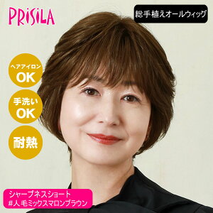 yoȂEBbOzvV BEAUTE AI[EBbO V[vlXV[g BA-101-ZMB #lу~bNX}uEytEBbO ×pEBbO lсϔMt@Co[~bNX w