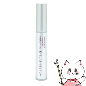 yő400~OFFN[|z AfmoC^ ACbVZy܂єetz y[֑z (6013046)