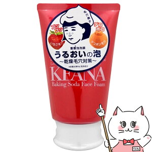 �y���|�C���g�o�b�N�Ձz�ь����q �d���A��� 100g�y���V�������z�y���t�H�[���z�y��z�֑��������z�yGTT�z(6045114)