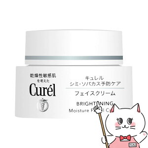 yő400~OFFN[|zԉ L V~E\oJX\hPA tFCXN[ 40gyN[zy򕔊OizySBTz (6011947)