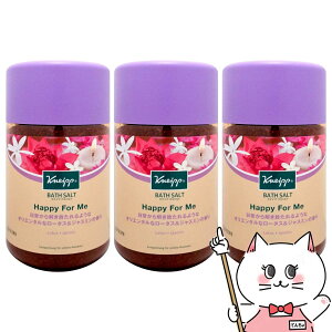 yZbgzNiCv oX\g 850g nbs[tH[~[ [^X&WX~̍×3 bNXoX^C  KNEIPPyz֑z (6053642-set1)