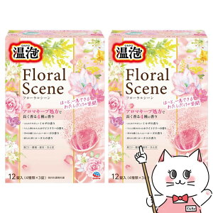 yő400~OFFN[|zy2ZbgzA[X A t[V[ 12yONPO ܁zyz֑z (6059015-set2)