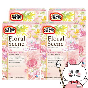 yő400~OFFN[|zy4ZbgzA[X A t[V[ 12yONPO ܁zyz֑z (6059015-set4)