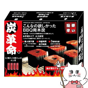 DSCWp YvB BBQpؒY 荠^Cv12yؒY  o[xL[ ȒP y ΍ܕsv Η͈ h Lv AEghAzy\E͘FEΔEցEp