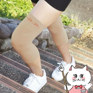 yő400~OFFN[|zC_C 쎮 Ђy(EZbg) LTCY /x[WyG Ђ ֐ߒ T|[^[ GpT|[^[z y[֑z (6062164)