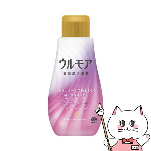 A[X EA ێt N[~[t[̍ 600mlypϗ  {́z yz֑z (6062401)