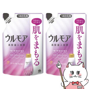 y2ZbgzA[X EA ێt N[~[t[̍ ߂ 480ml×2ypϗ  tB lցzyz֑z (6062404-set2)