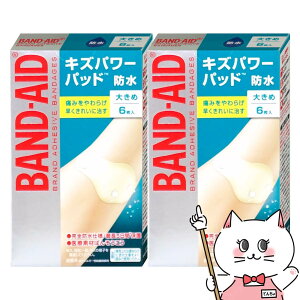 yZbgzohGCh LYp[pbh 傫 6×2yJNTLRV[}[wXzySh Jnp ΂񂻂 Ñfށzy[֑z(6049279-set1)