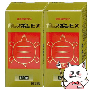 �y����2028�N8���z�K���X�|��EX 120��×2�y��J�Y�� �C���^�j �����ۂ� �T�v�������g �h�{�⋋ ���N ���e�z�y��z�֑��������z �yGTT�z(6064599-set1)