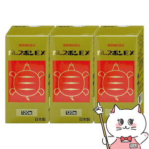 �y����2028�N8���z�K���X�|��EX 120��×3�y��J�Y�� �C���^�j �����ۂ� �T�v�������g �h�{�⋋ ���N ���e�z�y��z�֑��������z�yGTT�z (6064599-set2)