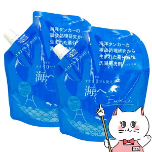 【最大400円OFFクーポン】【2個セット】がんこ本舗 洗濯洗剤 洗濯洗剤 海へ… Fukii 詰替パック380g ×2個【宅配便送料無料】 (6057305-set2)
