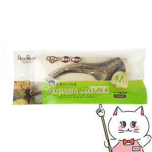 yő400~OFFN[|zybc[g xj\Ag[ MyhappiestzySBTz(6027656)