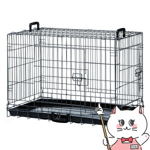 yő400~OFFN[|z}J RpNgP[W Lyhappiestzy160TCYzyz֑ziƂ̓s (6030651)