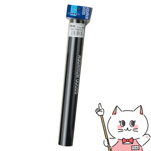 }J obNXN[  600yhappiestzySBTz (6031043)