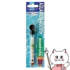 }J v(M)yhappiestzySBTz(6031123)