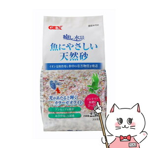 yő400~OFFN[|zWFbNX i ɂ₳VR 2.5kgyhappiestzySBTz(6031508)