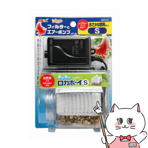 WFbNX ȎZbgSyhappiestzySBTz(6031509)