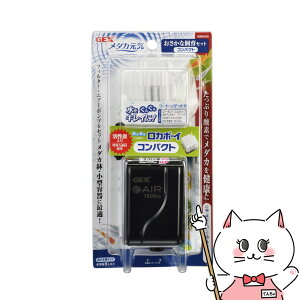 WFbNX ȎRpNgyhappiestzySBTz(6031511)