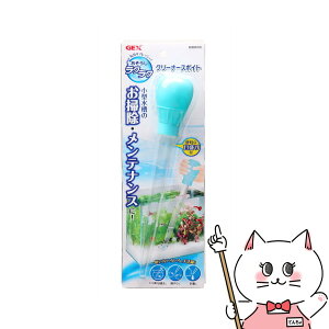 yő400~OFFN[|zWFbNX NN N[i[X|CgyhappiestzySBTz(6031545)