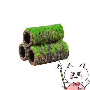 yő400~OFFN[|zWFbNX Șa̒ y MyhappiestzySBTz(6031553)