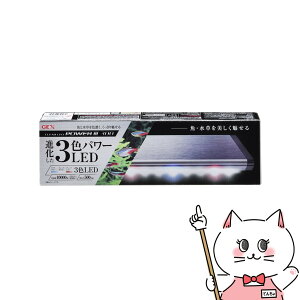 yő400~OFFN[|zWFbNX NALED POWER3 300yhappiestzyz֑z(6031559)