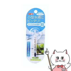 WFbNX NX^v SS ANAu[yhappiestzySBTz(6031565)