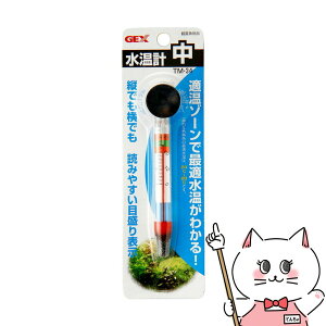 WFbNX v  TM-34yhappiestzySBTz(6031567)