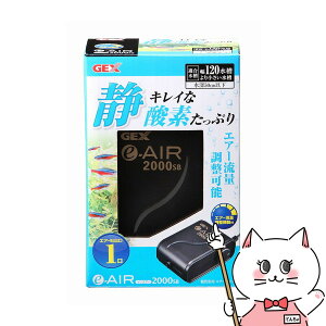 WFbNX e-AIR 2000SByhappiestzySBTz(6031574)