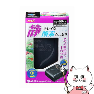 WFbNX e]AIR 4000WByhappiestzySBTz(6031575)