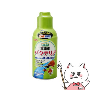 yő400~OFFN[|zWFbNX TCN 250mlyhappiestzySBTz(6031584)