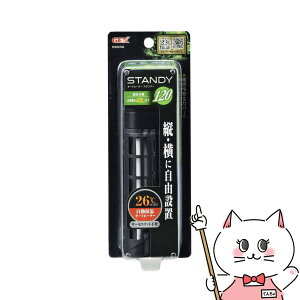 �W�F�b�N�X �X�^���f�B 120�yhappiest�z�ySBT�z(6031817)